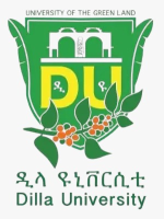 Dilla University LMS